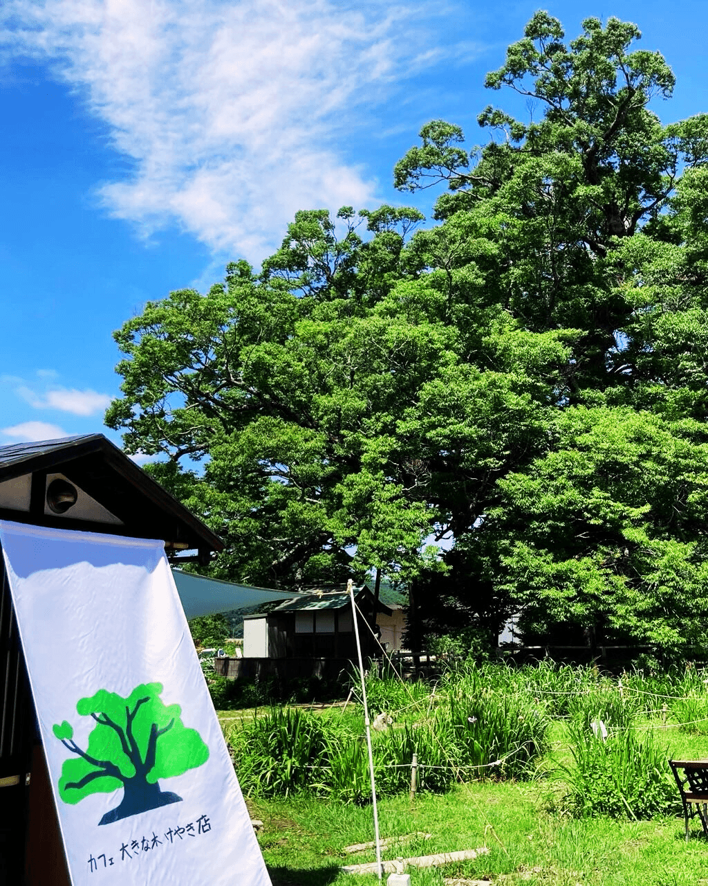 能具大観 / 山口蓼州　芸艸堂　定価：58000円 観光 | 能勢町観光協会 NOSE Tourism Association