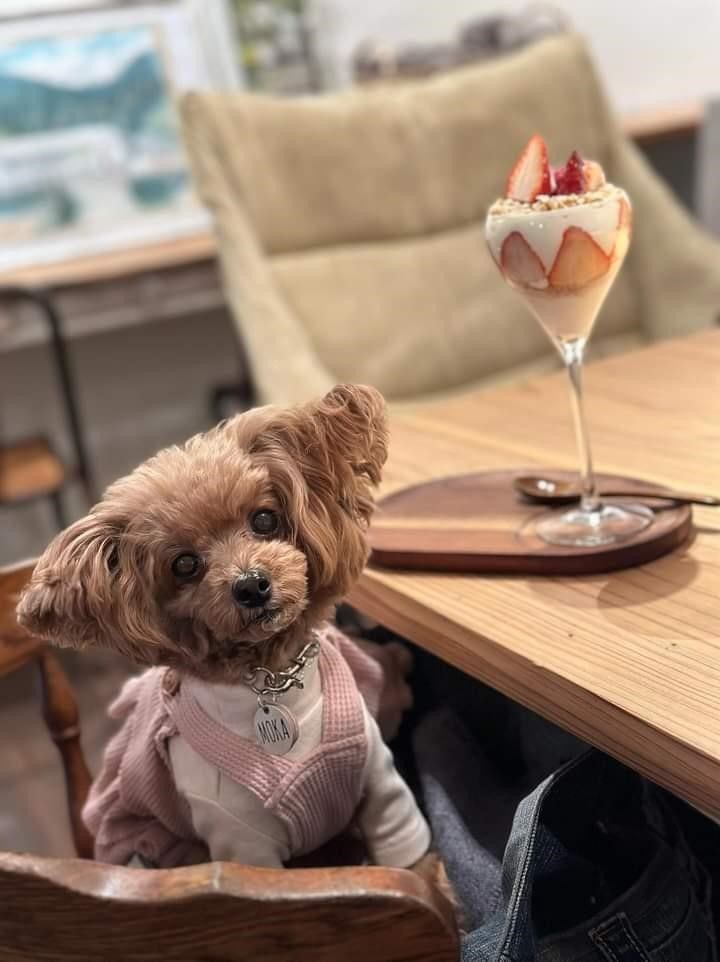 eyecatch.data?.attributes?.title