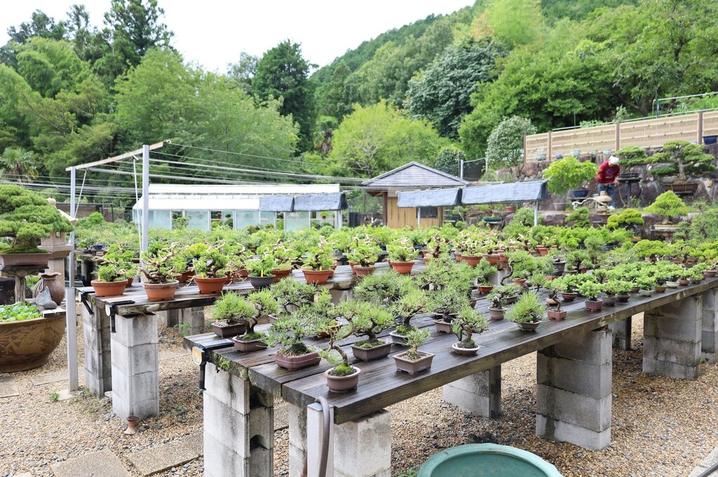 eyecatch.data?.attributes?.title