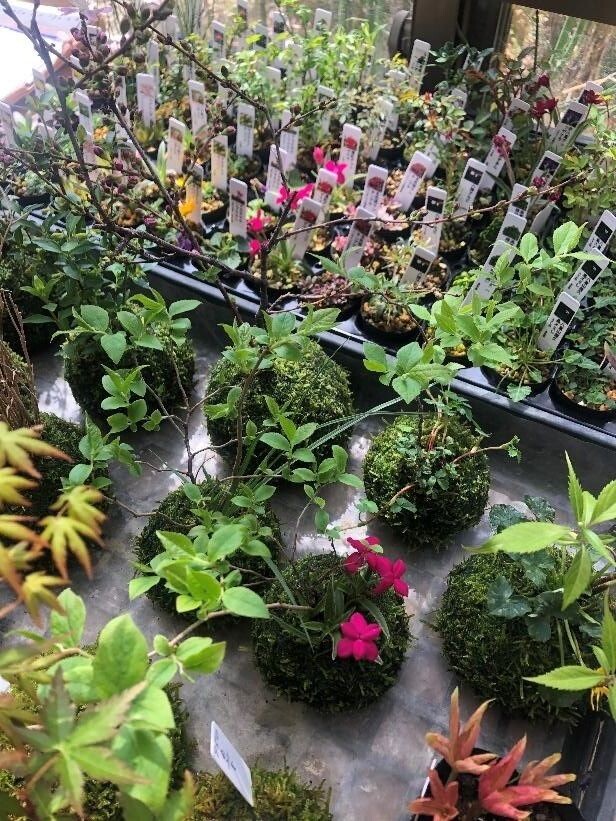 eyecatch.data?.attributes?.title